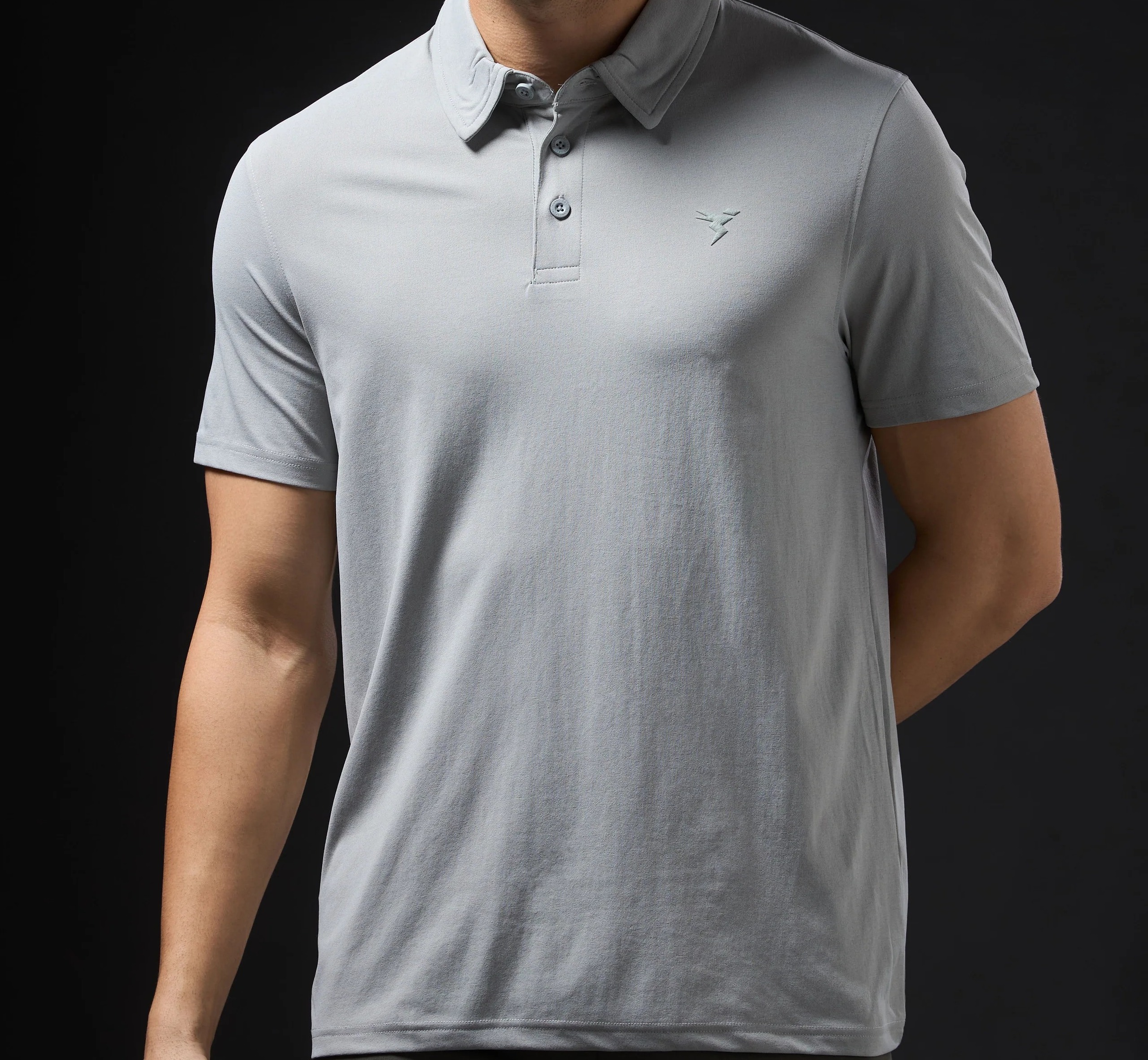 Men Solid Slim Fit Polo Ash T-shirt