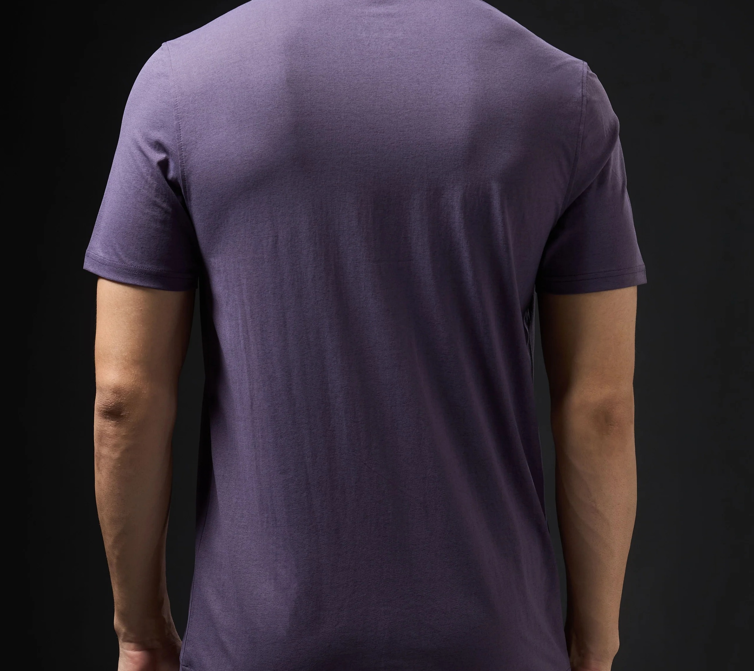 Men Solid Slim Fit Polo Grape Wine T-shirt