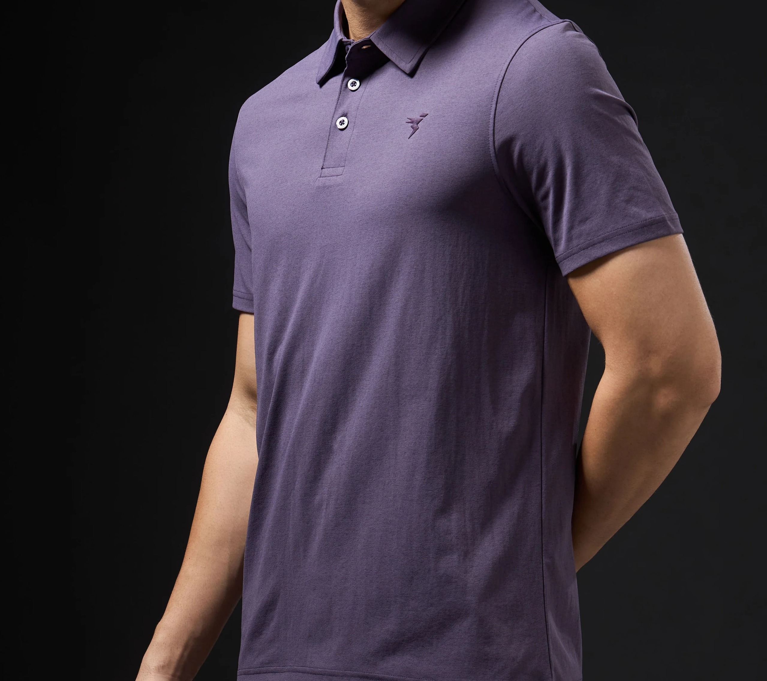 Men Solid Slim Fit Polo Grape Wine T-shirt