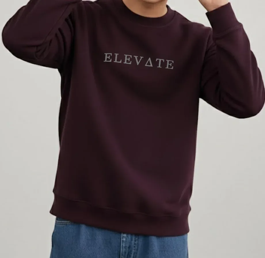 Wine Fleece Round Neck Regular Fit Sweatshirt